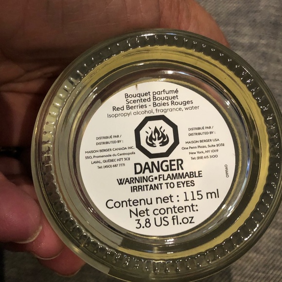 MAISON BERGER | Reed Diffuser - Fall Collection Scented Bouquet with Reed Sticks - Picture 4 of 6